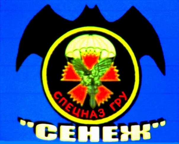 Первые учения ССО | lemur59.ru